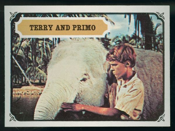 18 Terry And Primo